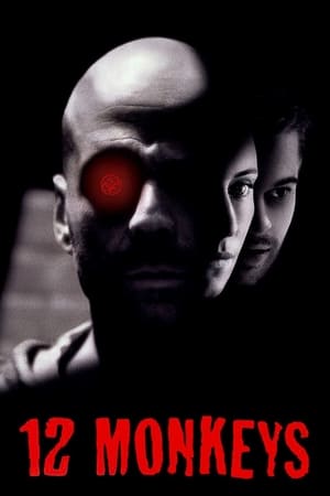 12 Monkeys (1995) Hindi Dual Audio 400MB Movie Poster