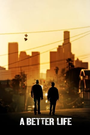 A Better Life (2011) Hindi Dual Audio [150MB] Movie Poster