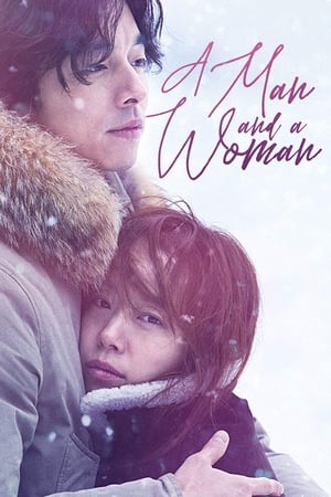 A Man and A Woman (2016) Hindi Dual Audio 400MB Movie Poster