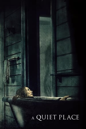 A Quiet Place 2018 Hindi Dual Audio [800MB] Movie Poster