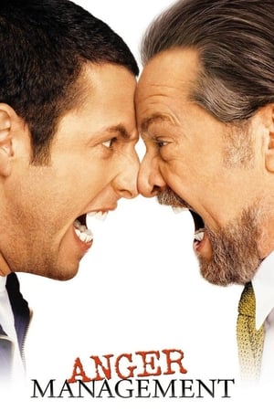 Anger Management (2003) Hindi Dual Audio – Movie Poster