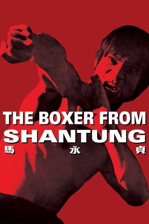 Boxer from Shantung (1972) Hindi Dual Audio [1.2GB] Movie Poster
