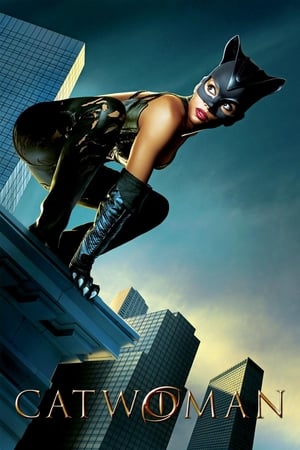 Catwoman (2004) Hindi Dual Audio [930MB] Movie Poster