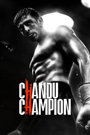 Chandu Champion 2024 Hindi – – Movie Poster