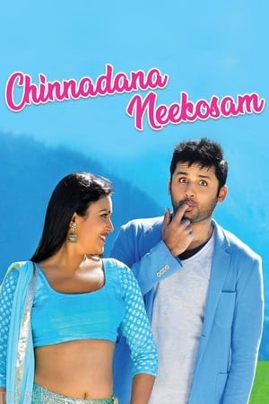 Chinnadana Nee Kosam 2014 Hindi Dual Audio 400MB Movie Poster