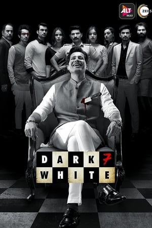 Dark 7 White 2020 Season 1 Hindi Web Series | [COMPLETE] Movie Poster