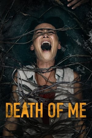 Death of Me (2020) Hindi Dual Audio [900MB] Movie Poster