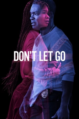 Don’t Let Go (2019) Hindi Dual Audio [890MB] Movie Poster
