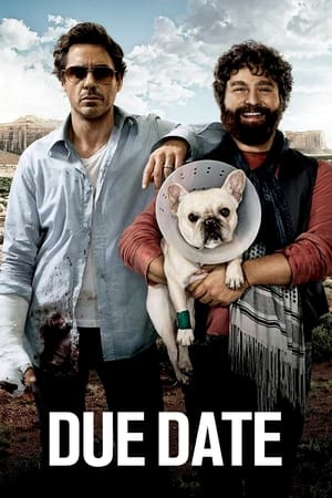 Due Date (2010) Hindi Dual Audio 300MB Movie Poster