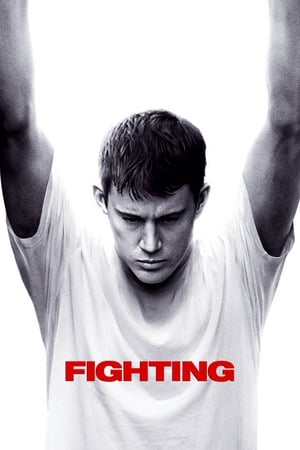 Fighting (2009) Hindi Dual Audio 450MB Movie Poster