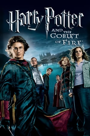 Fire & Ice (2008) Hindi Dual Audio [1.1GB] Movie Poster