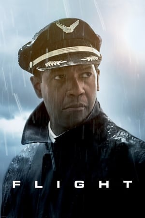 Flight (2012) Hindi Dual Audio [1GB] Movie Poster