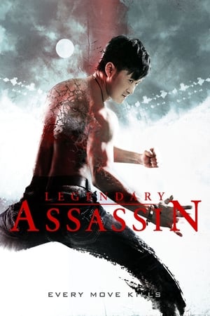 Legendary Assassin (2008) Hindi Dual Audio [1GB] Movie Poster