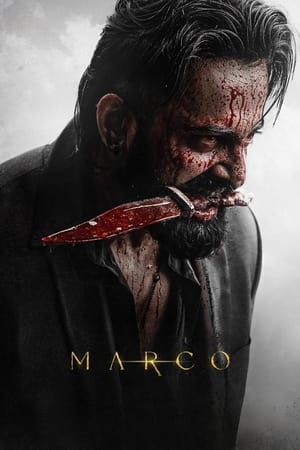 Marco 2024 Hindi Movie Poster