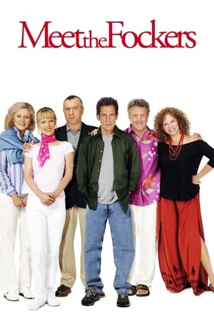 Meet the Fockers (2004) Hindi Dual Audio [1.1GB] Movie Poster