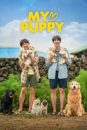My Heart Puppy (2022) Hindi Dual Audio – Movie Poster