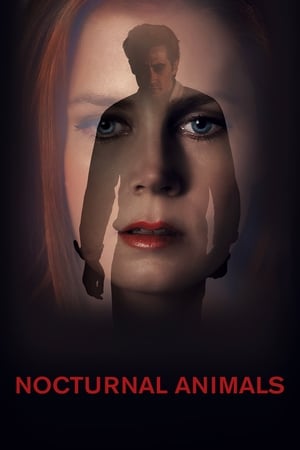 Nocturnal Animals (2016) Hindi Dual Audio 380MB Movie Poster
