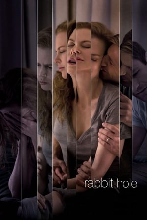Rabbit Hole (2010) Hindi Dual Audio [750MB] ESubs Movie Poster