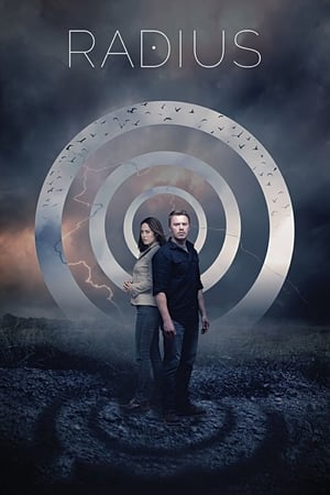 Radius (2017) Hindi Dual Audio [870MB] Movie Poster