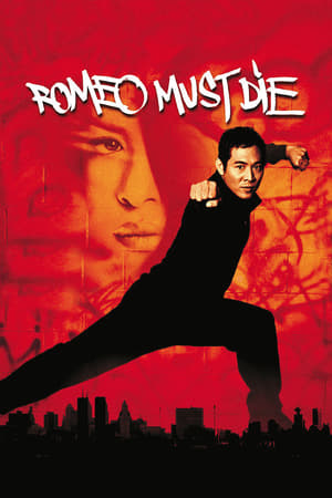 Romeo Must Die (2000) 100mb Hindi Dual Audio movie Download Movie Poster