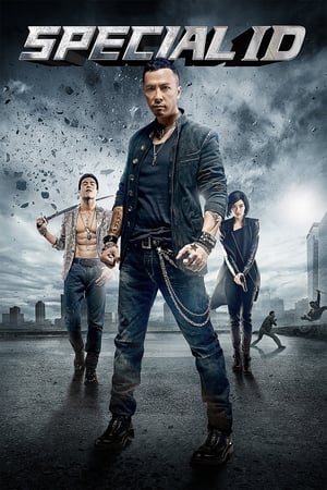 Special ID (2013) Hindi Dual Audio [150MB] Movie Poster
