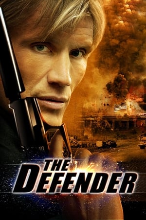 The Defender (2004) Hindi Dual Audio [1.2GB] Movie Poster
