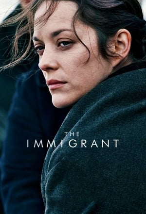 The Immigrant (2013) Hindi Dual Audio [880MB] Movie Poster