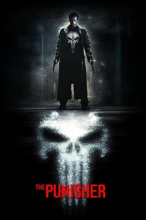 The Punisher 2004 Hindi Dual Audio Movie Poster
