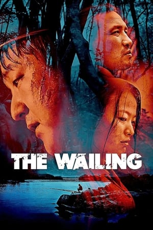 The Wailing 2016 Hindi Dual Audio 450MB Movie Poster