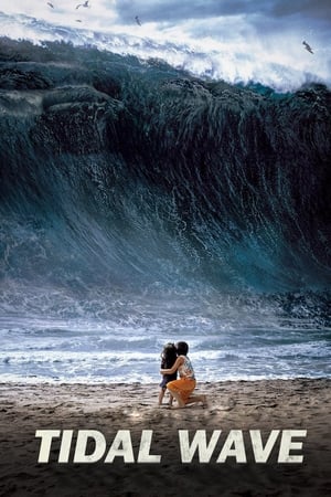Tidal Wave (2009) Hindi Dual Audio 350MB ESubs Movie Poster