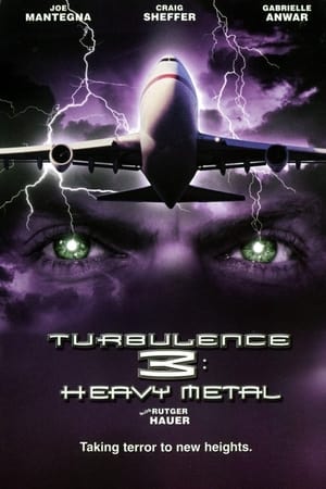 Turbulence 3 Heavy Metal 2001 Hindi Dual Audio 300MB Movie Poster