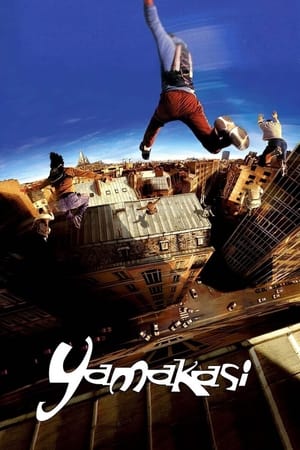 Yamakasi 2001 Hindi Dual Audio 300MB Movie Poster